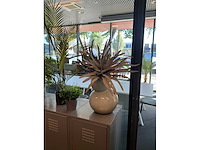 Planten met pot - afbeelding 3 van  6