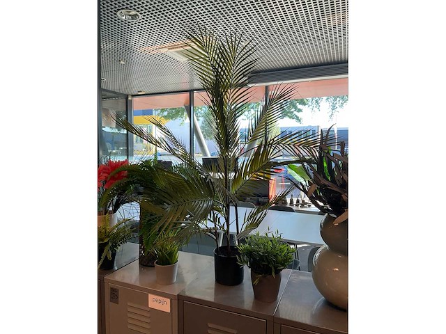 Planten met pot - afbeelding 4 van  6