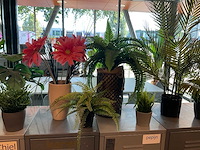 Planten met pot - afbeelding 5 van  6