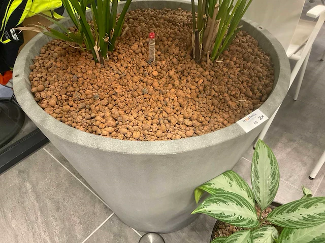 Planten met pot - afbeelding 2 van  7