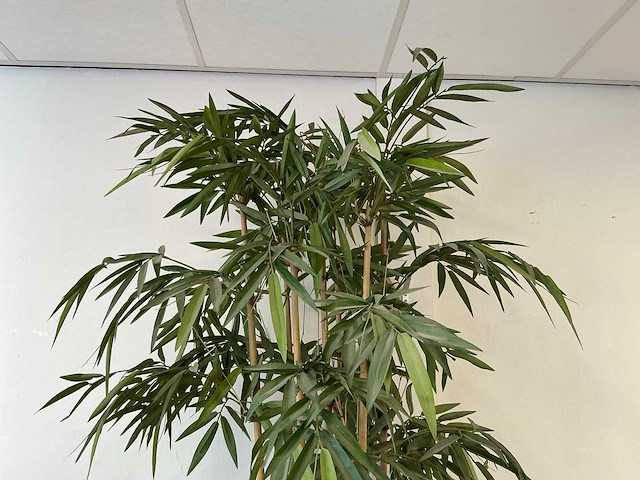 Planten met pot - afbeelding 6 van  7