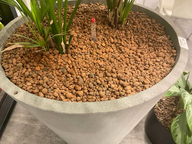 Planten met pot - afbeelding 6 van  7