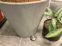 Planten met pot - afbeelding 7 van  7