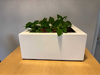 Planten pot (2x) - afbeelding 2 van  10