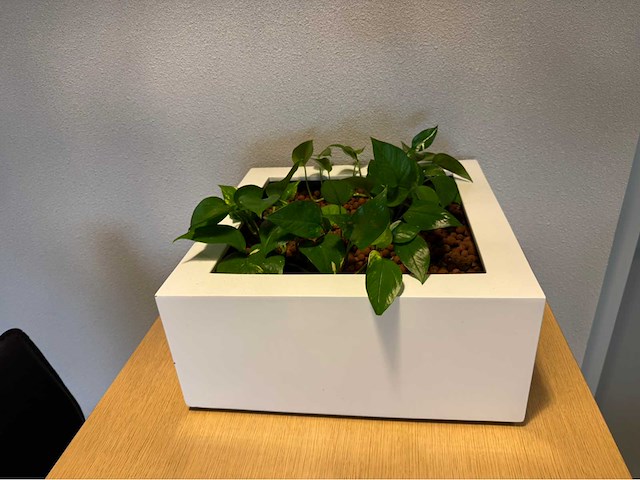 Planten pot (2x) - afbeelding 8 van  10