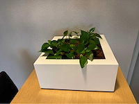 Planten pot (2x) - afbeelding 8 van  10