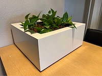 Planten pot (2x) - afbeelding 10 van  10