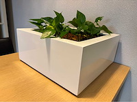 Planten pot (2x) - afbeelding 9 van  10