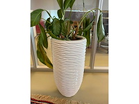 Planten pot - afbeelding 1 van  6