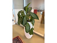 Planten pot - afbeelding 3 van  6