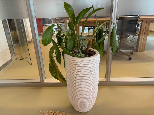 Planten pot - afbeelding 4 van  6