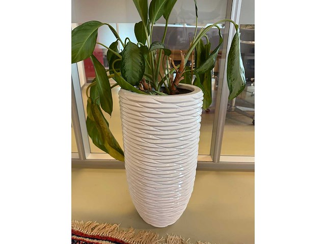 Planten pot - afbeelding 5 van  6