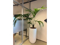 Planten pot - afbeelding 1 van  2