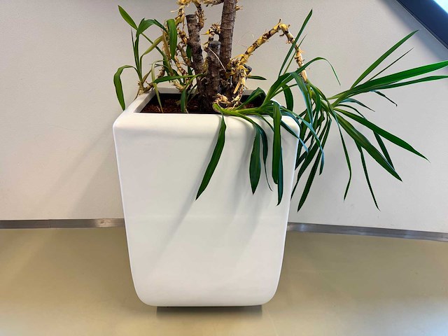 Planten pot - afbeelding 1 van  5