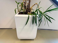 Planten pot - afbeelding 1 van  5