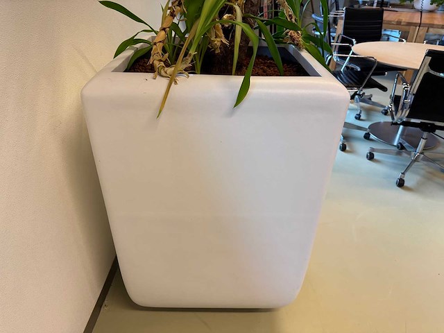 Planten pot - afbeelding 2 van  5