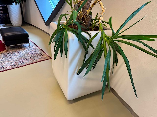 Planten pot - afbeelding 4 van  5