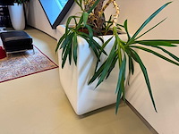 Planten pot - afbeelding 4 van  5