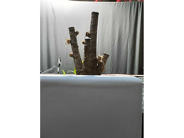 Planten pot - afbeelding 5 van  5