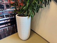 Planten pot - afbeelding 1 van  5