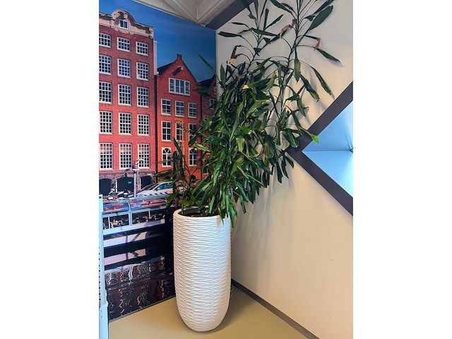 Planten pot - afbeelding 2 van  5