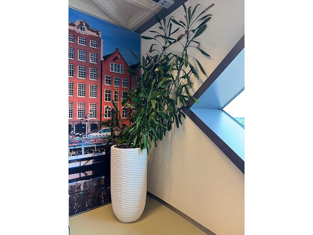 Planten pot - afbeelding 3 van  5