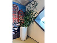 Planten pot - afbeelding 3 van  5