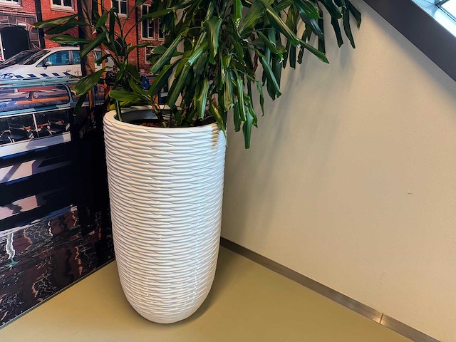 Planten pot - afbeelding 5 van  5