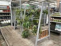 Planten rek - afbeelding 1 van  3