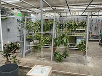 Planten rek - afbeelding 2 van  3