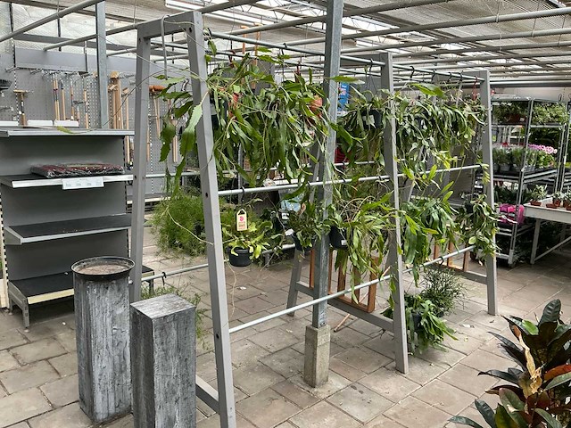 Planten rek - afbeelding 3 van  3