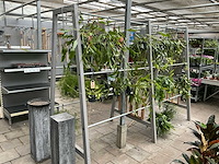 Planten rek - afbeelding 3 van  3