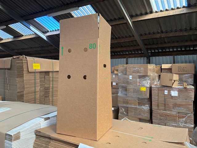 Planten transportdoos (270x) - afbeelding 1 van  4