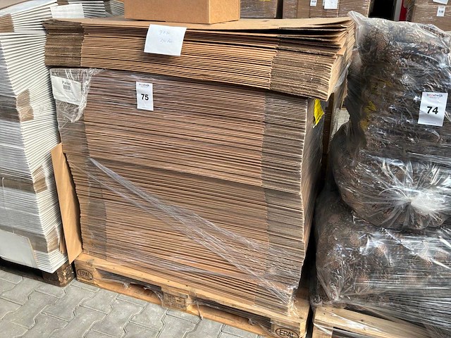 Planten transportdoos (270x) - afbeelding 4 van  4