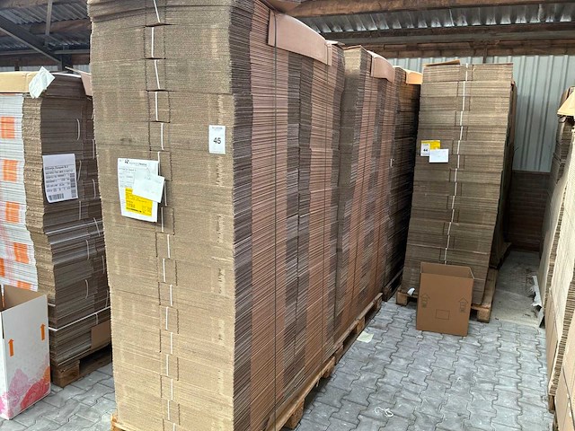 Planten transportdoos (2720x) - afbeelding 1 van  1