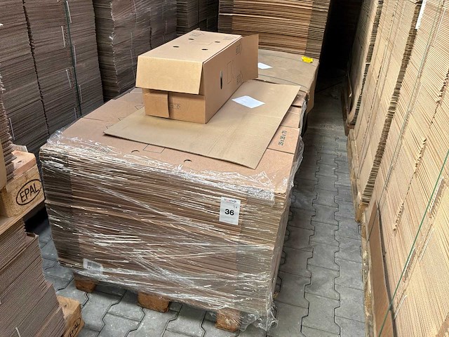 Planten transportdoos (379x) - afbeelding 5 van  5