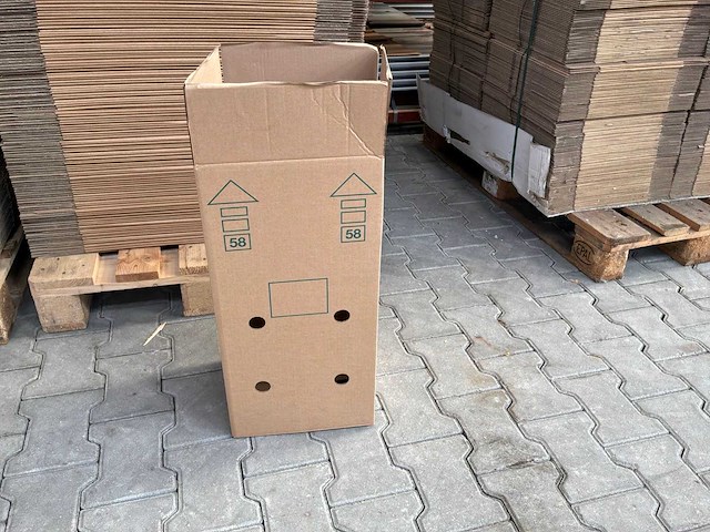 Planten transportdoos (400x) - afbeelding 1 van  1