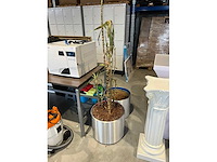 Plantenbak (2x) - afbeelding 2 van  2