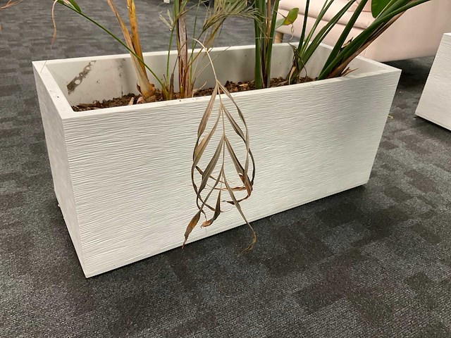 Plantenbak (2x) - afbeelding 2 van  6