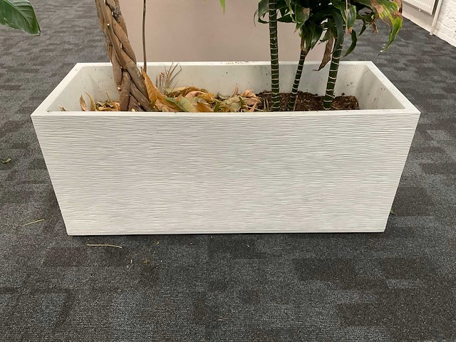 Plantenbak (2x) - afbeelding 3 van  6