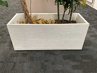 Plantenbak (2x) - afbeelding 3 van  6