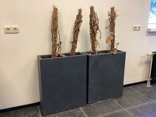 Plantenbak (2x) - afbeelding 1 van  6