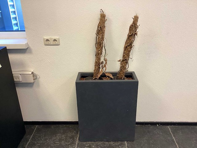 Plantenbak (2x) - afbeelding 2 van  6