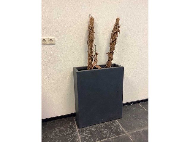Plantenbak (2x) - afbeelding 3 van  6
