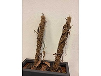 Plantenbak (2x) - afbeelding 6 van  6