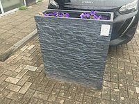 Plantenbak (2x) - afbeelding 1 van  4