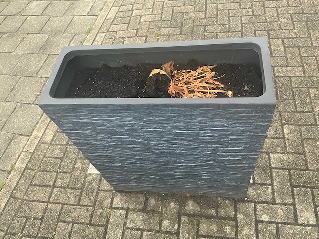 Plantenbak (2x) - afbeelding 4 van  4