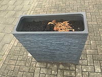 Plantenbak (2x) - afbeelding 4 van  4