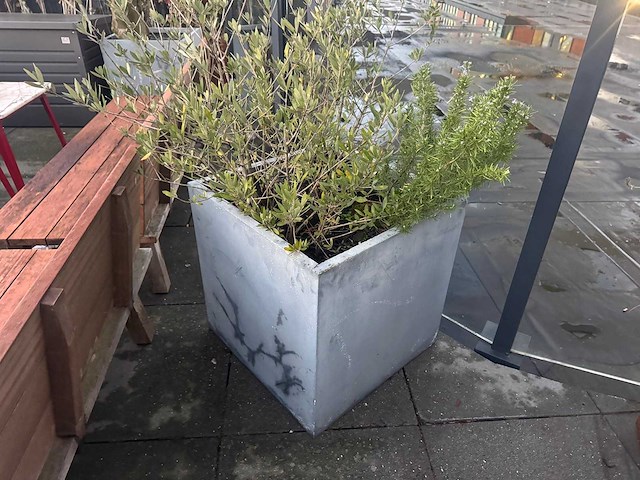 Plantenbak (3x) - afbeelding 2 van  4