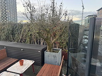 Plantenbak (3x) - afbeelding 3 van  4